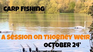 Carp Fishing  A Session on Thorney Weir [upl. by Asilram980]