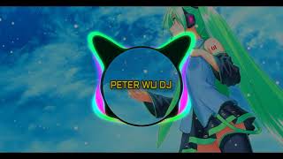 漂洋过海来看你 Piao Yang Guo Hai Lai Kan Ni Remix 2019 By Peter Wu Dj [upl. by Letnohs903]