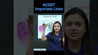 Endodermis Layer Of Root  Biology NEET  NCERT important lines for NEET  medicalentranceneet2025 [upl. by Juni228]