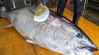 10000 Giant bluefin tuna cutting in Taiwan Luxurious sashimi  鋒利的刀！巨大黑鮪魚切割技巧 奢華黑鮪魚金三角 [upl. by Tova340]