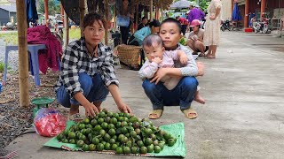 Harvest lemons and bring them to the market to sellLý Thị Xuân single mom life [upl. by Enelehs982]