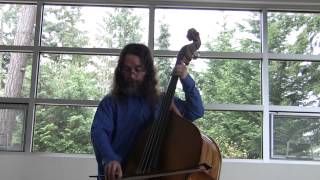 Raag Jaijaivanti  Andrew Buhr double bass [upl. by Einnok390]