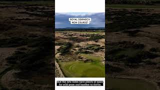 Royal Dornoch…I like the sound of this 😳 [upl. by Pease]