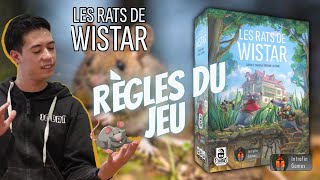 Les rats de Wistar  Règles du jeu [upl. by Yelsa]