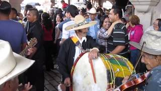 LA PACHITA EL BORRALLO YAHUALICA NET EL CEREBRO [upl. by Kcirddehs]