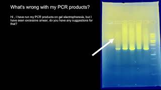 PCR and Gel Electrophoresis troubleshooting [upl. by Ahsi]