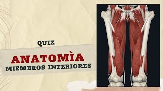 ¿QUE TANTO SABES DE MIEMBROS INFERIORES EVALUATE CON ESTE QUIZ [upl. by Marty]