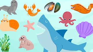 Learn Colors With SEA ANIMALS For Everybody [upl. by Edgell]