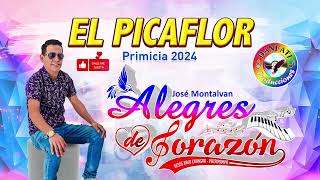 Alegres de Corazón  El Picaflor Audio Primicia 2024  Danfati Producciones Perú [upl. by Meibers]