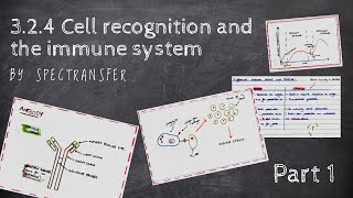 GCSE Biology  Cell Types and Cell Structure 2 [upl. by Noynek848]