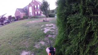 Rabbit hunting with a blowgun [upl. by Orelie157]