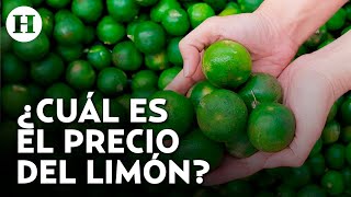 Aumenta el precio del limón en Tamaulipas ¿cómo afecta a comerciantes y consumidores [upl. by Whiting]