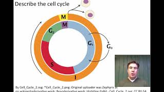 Honors Biology 33 All Cells Come from PreExisting Cells [upl. by Copeland]