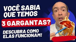 Você Sabia Que Temos 3 Gargantas Descubra Como Elas Funcionam [upl. by Yseulte]