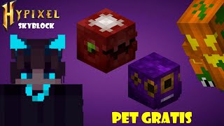 PET LEGENDARIO quotGRATISquot EN HYPIXEL SKYBLOCK [upl. by Sheri]