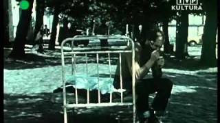 Jan Wołek  Dla jednego wariata co za mną lata FAMA 1977mp4 [upl. by Audrey502]