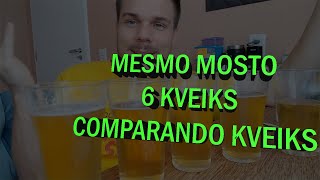 MESMO MOSTO DIVIDIDO ENTRE 6 KVEIKS COMPARANDO KVEIKS  Kveik 05 [upl. by Haughay]