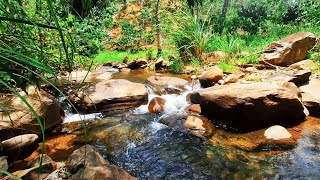 Relax with the calm whisper of air currents flowing through the crevices of the boulders [upl. by Nreval]