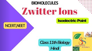 What is Zwitter Ion Zwitter ionic form of Amino acidsClass 11NCERT NEET [upl. by Stilu905]