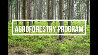 AGROFORESTRY PROMOTIONAL VIDEO [upl. by Esenahs]