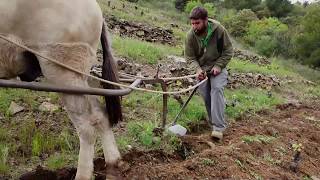 Egoitz Azkue García El Priorat [upl. by Kutzenco]