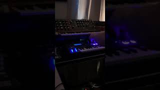 Daft Punk  End of Line Remake on the Poly D amp MiniNova [upl. by Horten202]