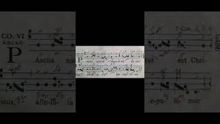 What Gregorian Chant SHOULD sound Like  Part 3 🎵  Communion Pascha nostrum  shorts [upl. by Samohtnhoj]