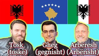 Albanian Varieties  Can they understand each other [upl. by Medrek]