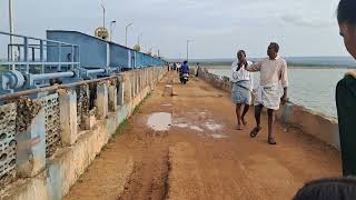 Mylavaram dam gates are opened mylavaramdam waterfall gates open [upl. by Dustie]