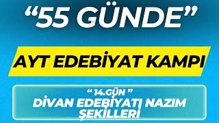 DİVAN EDEBİYATI NAZIM ŞEKİLLERİ 55 GÜNDE AYT EDEBİYAT KAMPI 14GÜN [upl. by Haleigh622]