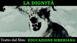 EDUCAZIONE SIBERIANA  LA DIGNITA DEL LUPO CAPO BRANCO [upl. by Nwahsar438]