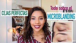 MI EXPERIENCIA CON MICROBLADING  Cejas Perfectas  SORTEO  Mafer Benites [upl. by Veron992]