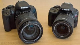 DSLR Cameras Explained Beginner Vs More Advanced Features [upl. by Phil]