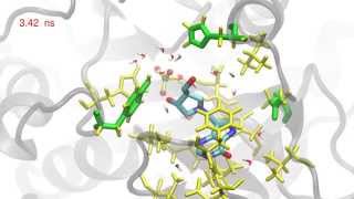 Human purine nucleoside phosphorylase in complex with DADMeImmucillinH and sulfate [upl. by Natsrik]