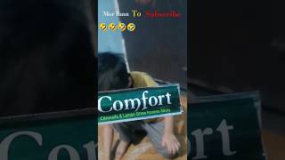 Comfort mosquito killer Agarbatti shortfeed sorts [upl. by Nidak]