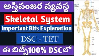 Skeletal Systemanatomy bitsDSCPETdsc modal papersSgttettrtpet dsc previous papergk question [upl. by Barabbas675]