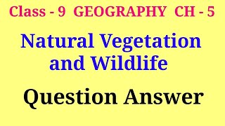 natural vegetation and wildlife class 9 question and answer  class 9 geography ch 5 question answer [upl. by Acimahs]