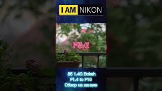 AFS NIKKOR 85mm f14G Bokeh Test stop down [upl. by Eniamahs]