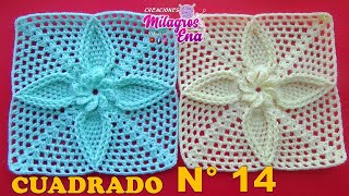 Cuadrado N° 14 Tejido a crochet Hojitas con borde en relieve para Mantitas de bebe y cojines [upl. by Allesig]