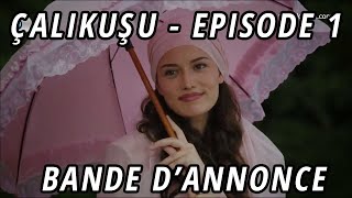 DOUBLE KARA Episode 344 en francais [upl. by Hcone]