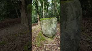 Ancient STONE JARS Deep in the JUNGLE of Sulawesi Island indonesia [upl. by Odille]