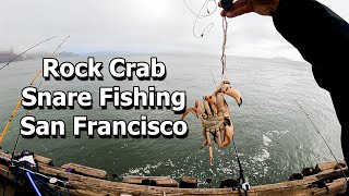 Rock Crab Snare Fishing in the San Francisco Bay [upl. by Lesly979]