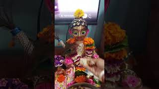 Kon khayata hy 🌸🌸youtubeshorts laddugopal gopalseba [upl. by Barbara]