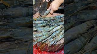 Perfect Shrimp Cutting Skills In BD Fish Market  Quick amp Easy Tutorial shorts fishing food fish [upl. by Vinson]