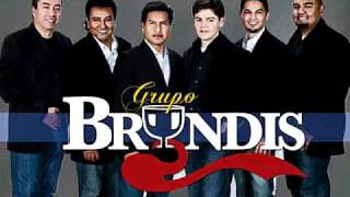 GRUPO BRYNDIS  ECHAME A MI LA CULPA [upl. by Ttezzil928]