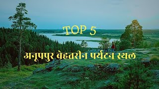 Anuppur Top 5 Tourist Place  Anuppur  Amaekantak [upl. by Yacov]