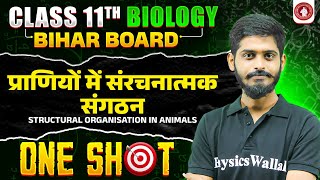 प्राणियों में संरचनात्मक संगठन  Structural organisation in animals   Class 11 Biology [upl. by Teillo]