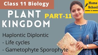 Plant kingdom  Class 11 Biology  Haplontic Diplontic  Part 11 [upl. by Arjun810]