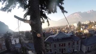 Démontage dun sapin de 23 m  GOPRO hero3 [upl. by Ayatnohs]