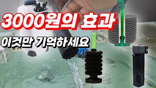 구피 플레코 열대어 키우실때 스펀지여과기 외부여과기 측면여과기 어떤걸 선택해야 할까요 이 영상 보시고 중복투자 하지 마세요 [upl. by Kung702]